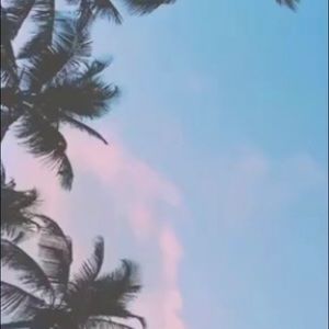 Meet your Posher, Bryan